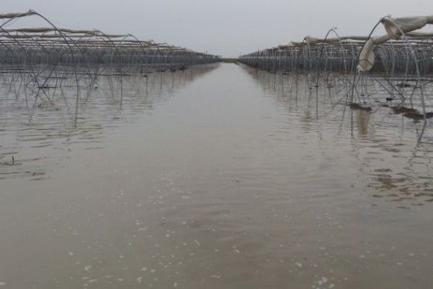 Lombardia, maltempo: serre distrutte, stalle al buio. Danni per 25 milioni di €