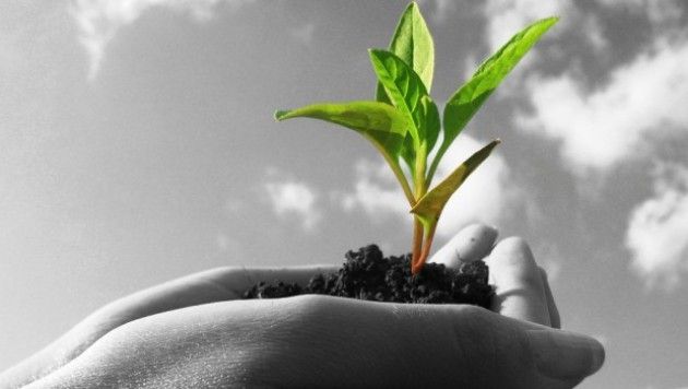 Revisione della Direttiva Nitrati, energia da fonti rinnovabili,
