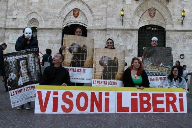 Le pellicce nascono in camere a gas, l’indagine di Essere Animali