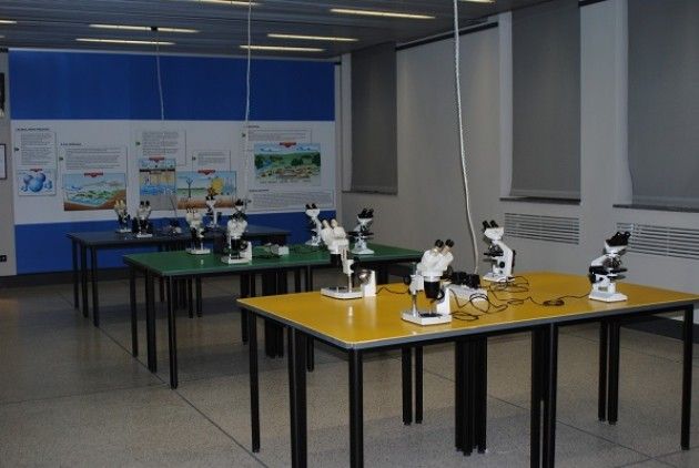 Cremona Tessera junior/family per il Museo civico di Storia Naturale