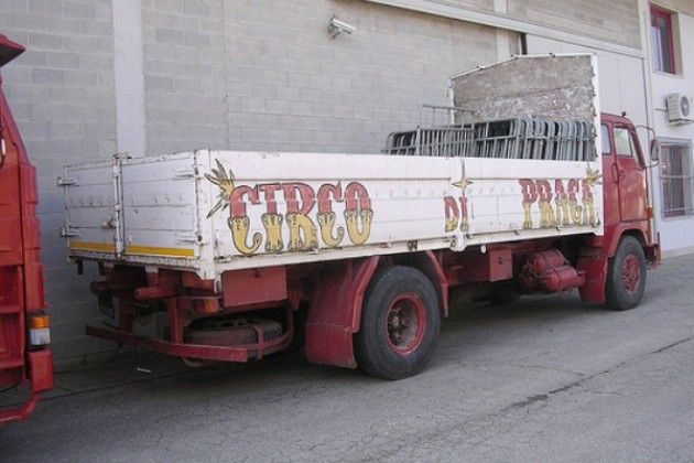 Circo in provincia di Cremona, a Madignano la Giunta interrogata dai cittadini