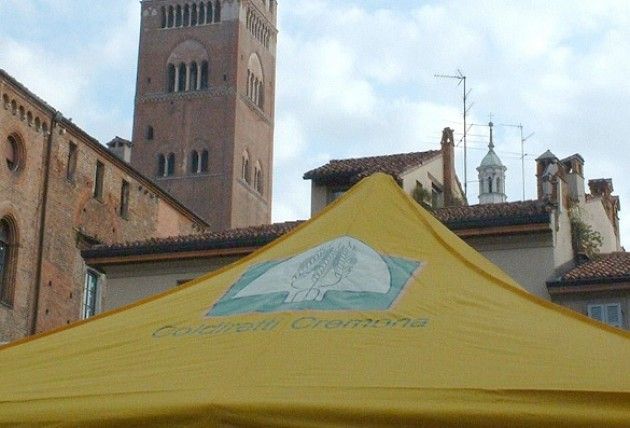 Coldiretti Cremona, incontri rivolti ai Dirigenti