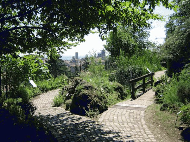 A Bergamo arriva 'L’orto in pratica', lezione di agronomia in campagna