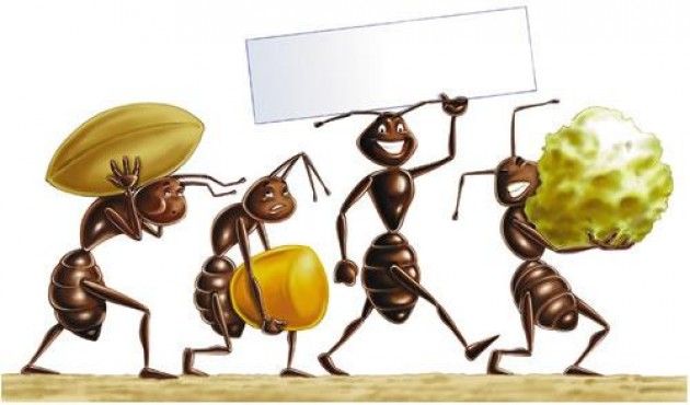 Expo. Contro lo spreco di cibo nelle scuola ‘Le formichine salvacibo’