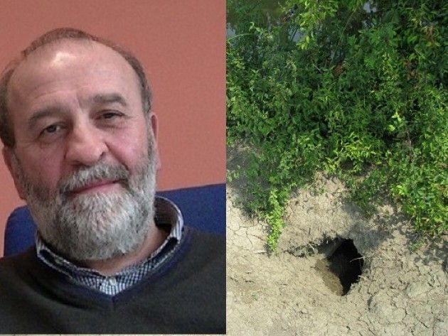 Nutrie. Alloni (pd): mancano ancora le risorse per la lotta alle nutrie