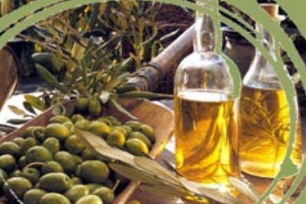 Olio capitale 2015 e l'extra vergine di oliva pugliese. Giovani, biodiversità ed Expo