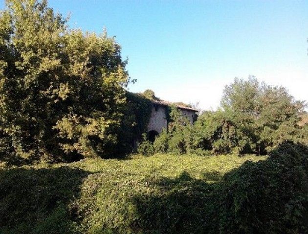 Quote latte e IMU agricola: l’assalto di Renzi al patrimonio agricolo italiano