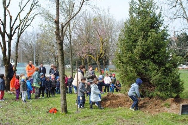 L’albero di Natale ha una nuova casa a Cremona, il parco della scuola di Via Mentana