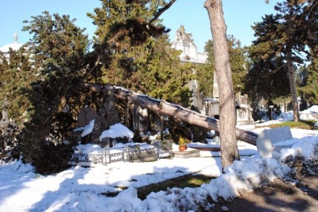 Neve a Cremona, raccolte mille tonnellate di rami e alberi, lavori ancora in corso
