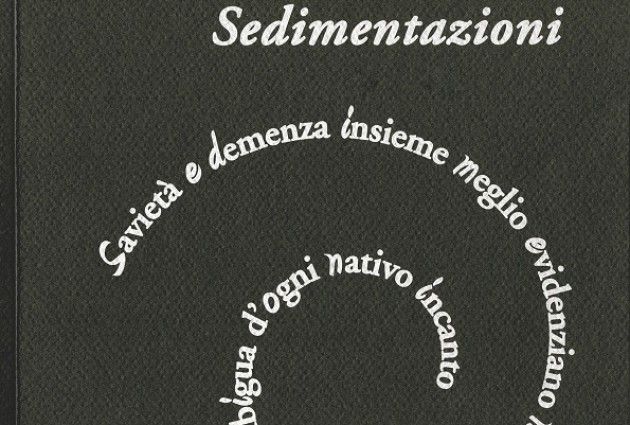 Presentazione libro ‘SEDIMENTAZIONI’VITTORIO DOTTI