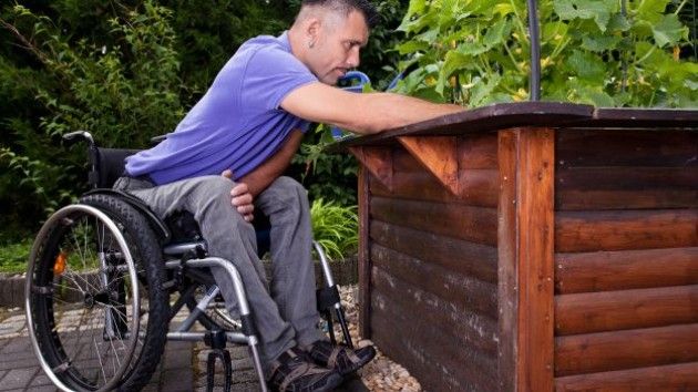 Parco Adda Sud, Ortoterapia per i disabili: al via progetto con i volontari di “Asino Fenice”