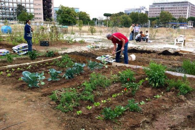 ADUC, il Segretario Mastrantoni: ‘Orti urbani. Sono sani?’