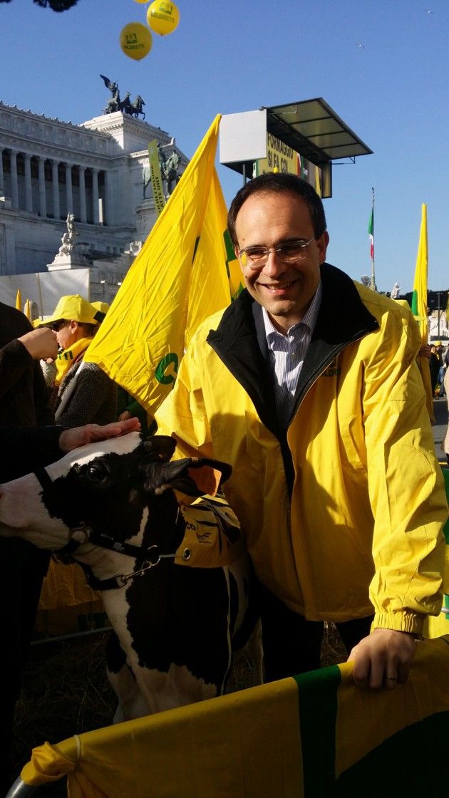 Quote latte, Coldiretti: ‘In Italia è sopravvissuta una stalla su cinque’