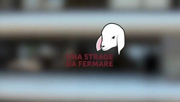 Dentro le mura di un macello di agnelli, un video di Essere Animali