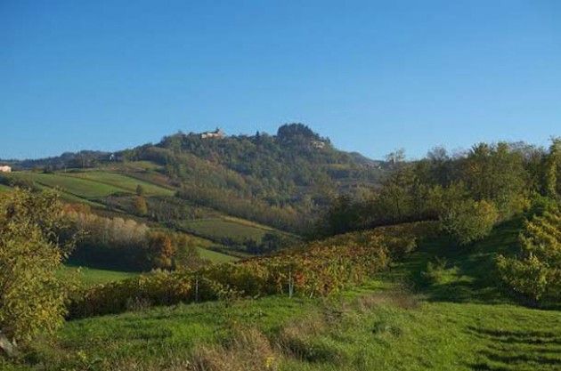 Codevilla, 19 aprile: Camminata golosa