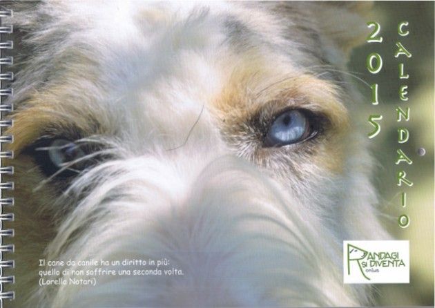 L’Associazione Randagi si Diventa presente alla  fiera della Pallavicina di Izano