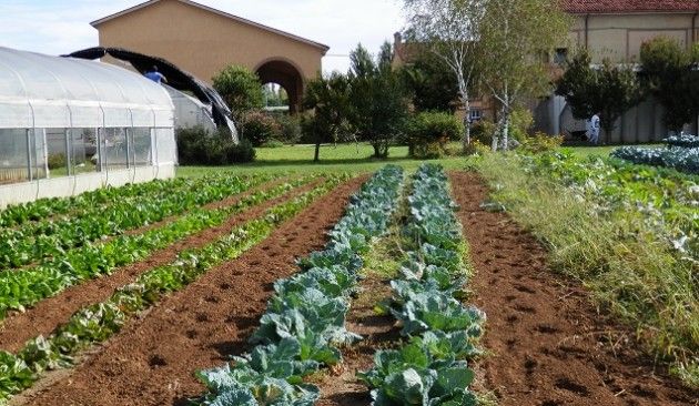 Flash dall’agroalimentare nazionale e internazionale