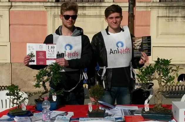 Torre de Picenardi Un bonsai per una vita senza AIDS