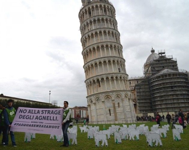 Flash Mob a Pisa ‘ Liberate 50 sagome di agnelli’