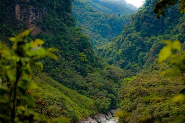 In Amazzonia il 200% di deforestazione : dobbiamo fermarli