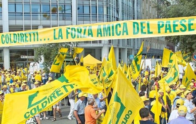 Consorzio Agrario, cambio ai vertici: assemblee a Capralba, Cremona e Casalmaggiore