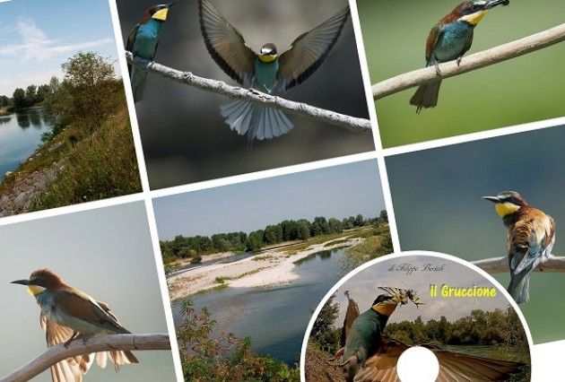 Parco Adda Sud, 400 ore di riprese per raccontare la vita dei Gruccioni
