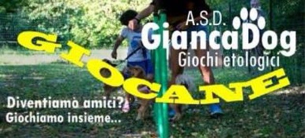 ‘Giocane’, a Cremona una domenica dedicata ai nostri amici a quattro zampe