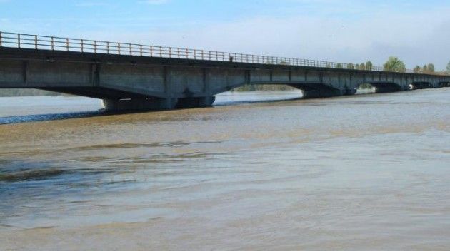 Pesca di frodo, Carra e Alloni (PD): «Si fermino i predatori del Po»