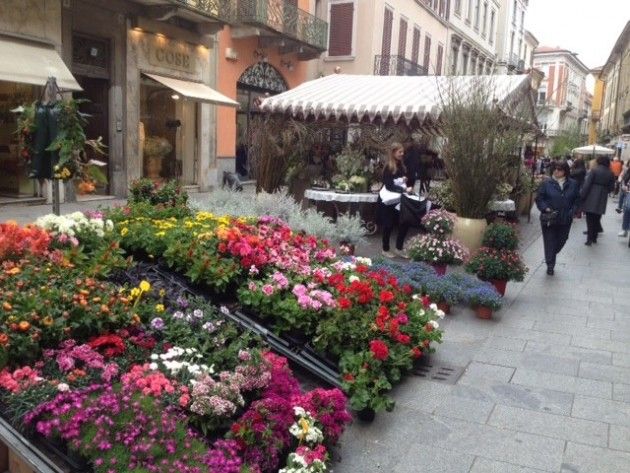 Domenica 19 aprile  partono Le Quattro stagioni a Cremona: mercatini ed eventi