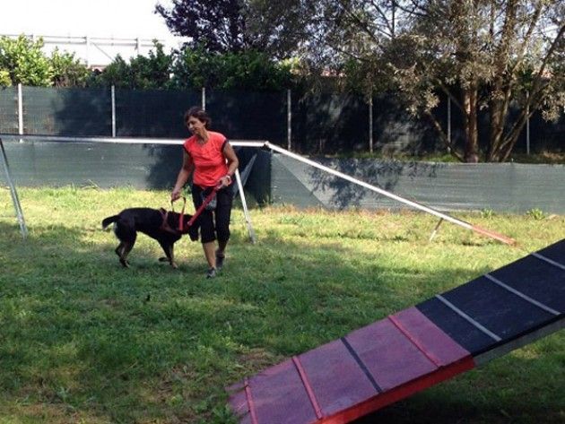 Varese, primo corso di formazione unità cinofile della Protezione Civile