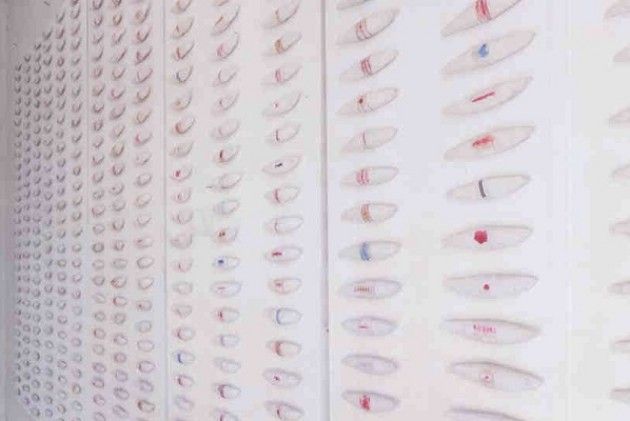 A Cremona aperta l’ultima mostra di Fabrizio Merisi