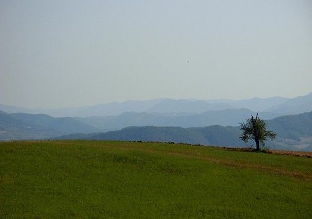 L’Altopiano di Gomo e il sentiero dei castagni secolari