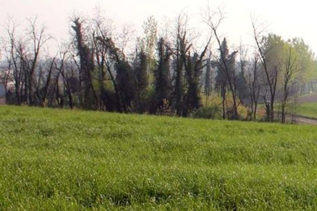 FAI Cremona, una settimana di iniziative tra cinema, archeologia, arte e natura