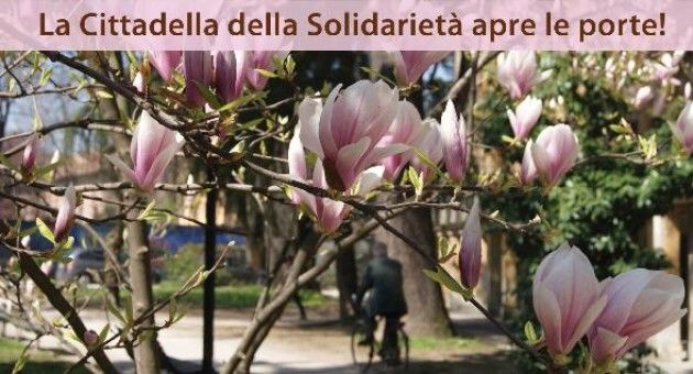 La Tartaruga onlus, a Cremona domenica ‘Cittadella in fiore’, festa solidale