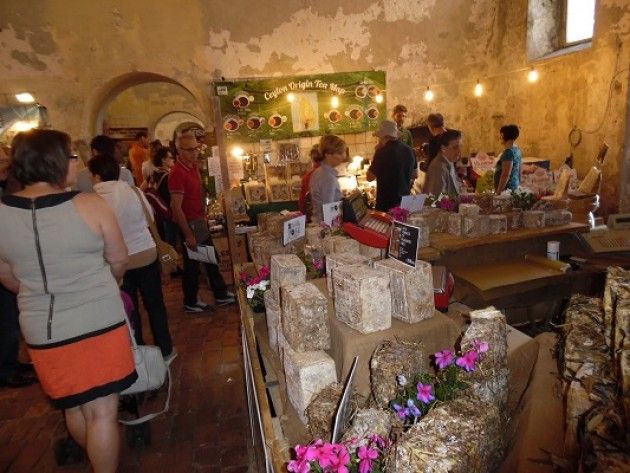 Bagno di Folla e oltre 13 mila presenze per la Tre Giorni in Piazza a Pizzighettone