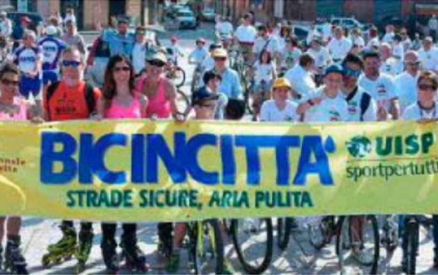 Casalmaggiore. Un successo per Bicincittà 2015