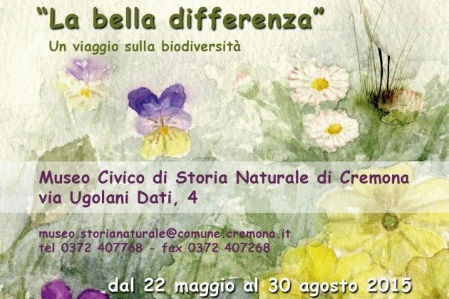 ‘La bella differenza’, in mostra a Cremona un viaggio sulla biodiversità