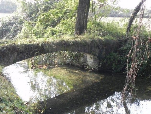 In cammino 'Green food' sul Pianalto nel Cremasco