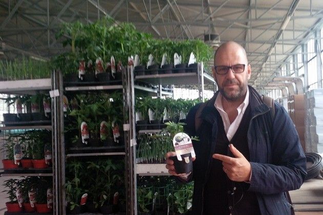 AICS, il Responsabile Nesi alla prof.ssa Tonelli: ‘Sugli OGM la scienza è divisa’