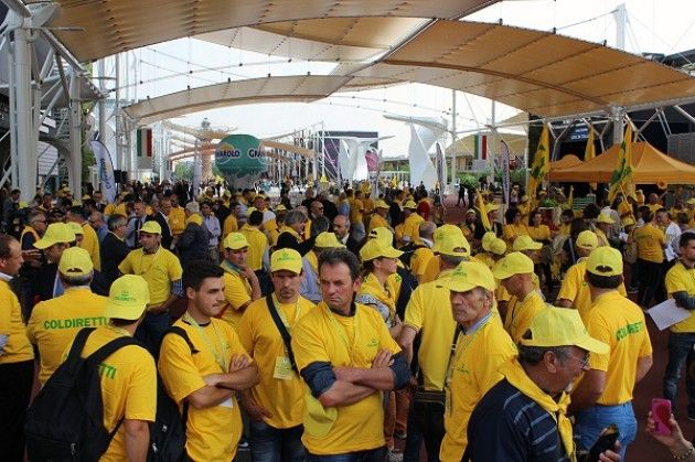 Un migliaio di allevatori hanno invaso l’Expo per la giornata del latte