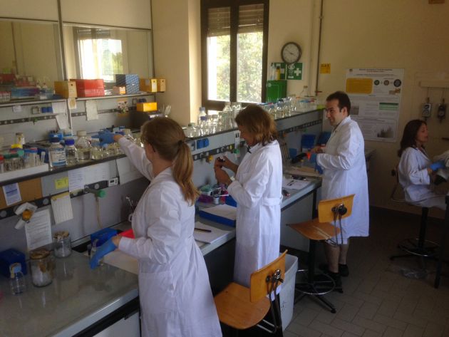 Cremona Food Lab: un hub di ricerca e servizi nell’agroalimentare