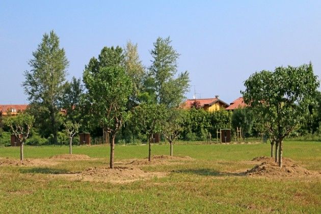 Città di Desenzano del Garda. Nasce il frutteto della vita