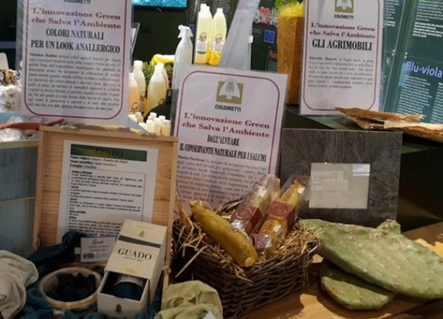 Expo, Italia festeggia Giornata dell'Ambiente con lavoratori con competenze 'verdi'