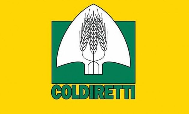Coldiretti Campagna Amica, grande debutto oggi in Piazza Stradivari a Cremona