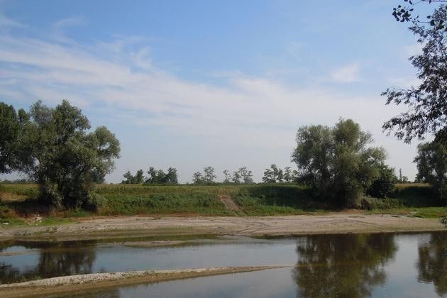 Biodiversità in provincia di Cremona, al Parco Oglio Sud riqualificazione ecologica