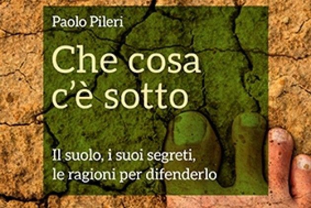 In provincia di Cremona ‘Che cosa c’è sotto’, martedì a Vescovato si parla di suolo