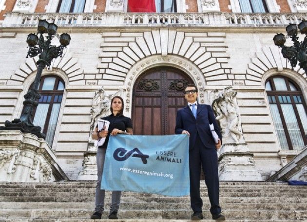 Stop alla barbarie sui visoni per ricavarne pellicce, appello di Essere Animali