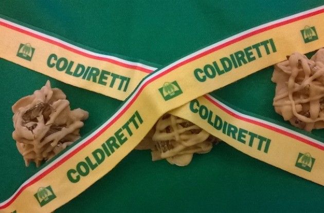 Expo. Sequestrati insetti e vino di serpenti