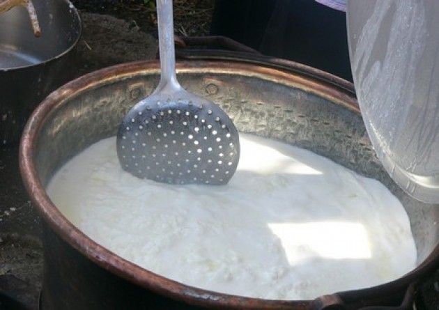 Made in Italy. Non al formaggio senza latte. In piazza a Roma allevatori, casari e consumatori