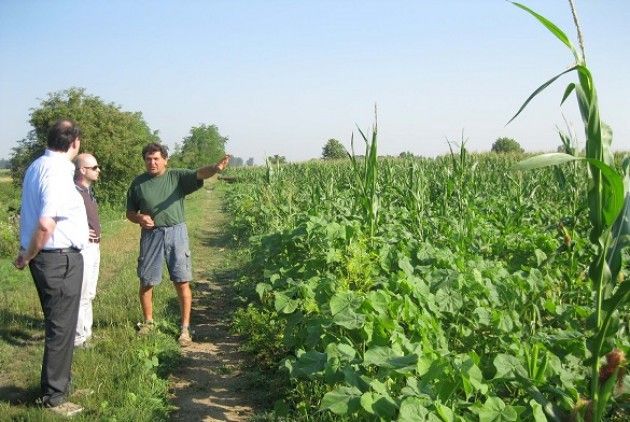 Coldiretti Cremona, emergenza 'nutrie': eradicare subito!